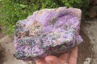 Natural Stichtite Cobbed Specimens x 3 From Barberton, South Africa