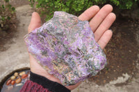 Natural Stichtite Cobbed Specimens x 3 From Barberton, South Africa