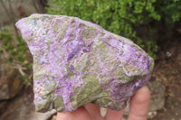 Natural Stichtite Cobbed Specimens x 3 From Barberton, South Africa