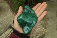 Polished Flower Banded Malachite Free Forms x 3 From Congo