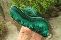 Polished Flower Banded Malachite Free Forms x 3 From Congo