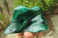 Polished Flower Banded Malachite Free Forms x 3 From Congo