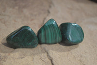 Polished Flower Banded Malachite Free Forms x 35 From Congo