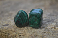 Polished Flower Banded Malachite Free Forms x 35 From Congo