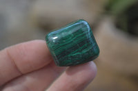 Polished Flower Banded Malachite Free Forms x 35 From Congo