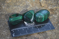 Polished Flower Banded Malachite Free Forms x 35 From Congo