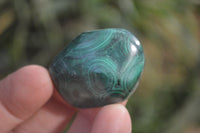 Polished Flower Banded Malachite Free Forms x 35 From Congo