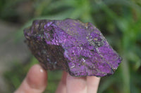 Natural Metallic Purpurite Cobbed Specimens x 12 From Erongo, Namibia