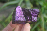 Natural Metallic Purpurite Cobbed Specimens x 12 From Erongo, Namibia