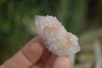 Natural Ametrine Spirit Quartz Clusters and Crystals X 20 From Boekenhouthoek, South Africa