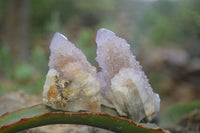 Natural Ametrine Spirit Quartz Clusters and Crystals X 20 From Boekenhouthoek, South Africa