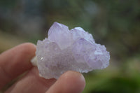 Natural Ametrine Spirit Quartz Clusters and Crystals X 20 From Boekenhouthoek, South Africa