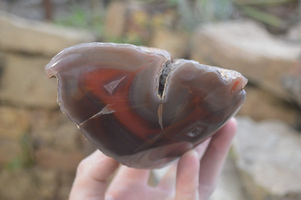 Polished Red Sashe River Agate Nodules x 2 From Sashe River, Zimbabwe