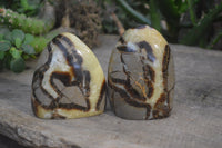 Polished Septerye Standing Free Forms x 4 From Mahajanga, Madagascar