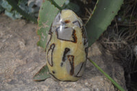 Polished Septerye Standing Free Forms x 4 From Mahajanga, Madagascar