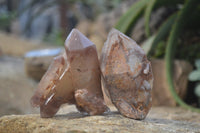 Natural Hematoid Quartz Specimens x 3 From Karoi, Zimbabwe