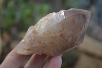 Natural Hematoid Quartz Specimens x 3 From Karoi, Zimbabwe