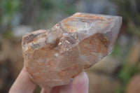 Natural Hematoid Quartz Specimens x 3 From Karoi, Zimbabwe