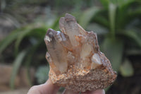 Natural Hematoid Quartz Specimens x 3 From Karoi, Zimbabwe