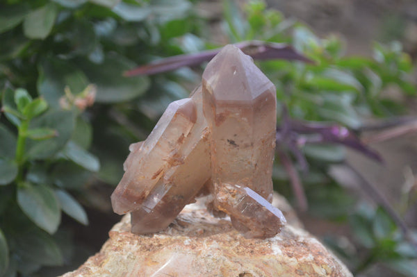 Natural Hematoid Quartz Specimens x 3 From Karoi, Zimbabwe