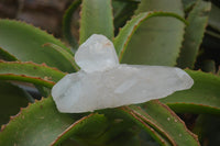 Natural Double Terminated Floater Quartz Crystals x 8 From Madagascar