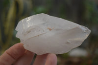 Natural Double Terminated Floater Quartz Crystals x 8 From Madagascar