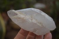 Natural Double Terminated Floater Quartz Crystals x 8 From Madagascar