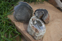 Polished Petrified Wood Branch Pieces X 3 From Gokwe, Zimbabwe