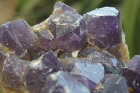 Natural Dark Amethyst Clusters x 2 From Mapatizya, Zambia