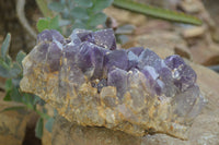 Natural Dark Amethyst Clusters x 2 From Mapatizya, Zambia