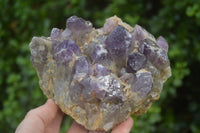 Natural Dark Amethyst Clusters x 2 From Mapatizya, Zambia