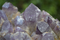 Natural Dark Amethyst Clusters x 2 From Mapatizya, Zambia