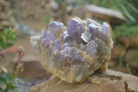 Natural Dark Amethyst Clusters x 2 From Mapatizya, Zambia