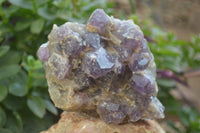 Natural Dark Amethyst Clusters x 2 From Mapatizya, Zambia