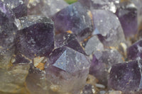 Natural Dark Amethyst Clusters x 2 From Mapatizya, Zambia