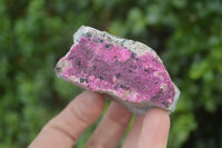 Natural Salrose Cobaltion Dolomite Specimens x 6 From Kakanda, Congo