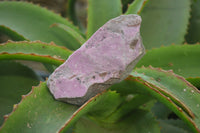 Natural Salrose Cobaltion Dolomite Specimens x 6 From Kakanda, Congo