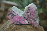 Natural Salrose Cobaltion Dolomite Specimens x 6 From Kakanda, Congo