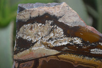 Polished On One Side Nguni Jasper Specimens 2 x From Prieska, South Africa