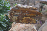 Polished On One Side Nguni Jasper Specimens 2 x From Prieska, South Africa