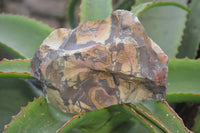 Polished On One Side Nguni Jasper Specimens 2 x From Prieska, South Africa