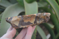 Polished On One Side Nguni Jasper Specimens 2 x From Prieska, South Africa