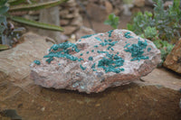 Natural XL Classic Dioptase Specimen x 1 From Tantara, Congo