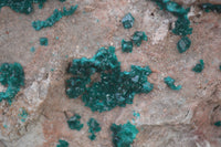 Natural XL Classic Dioptase Specimen x 1 From Tantara, Congo