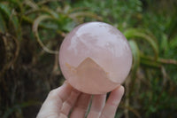 Polished Star Rose Quartz Spheres x 2 From Madagascar