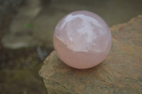 Polished Star Rose Quartz Spheres x 2 From Madagascar