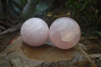 Polished Star Rose Quartz Spheres x 2 From Madagascar