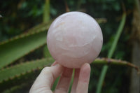 Polished Star Rose Quartz Spheres x 2 From Madagascar