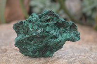 Natural Silky Malachite Specimens x 6 From Kasompe, Congo