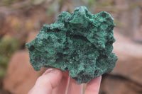 Natural Silky Malachite Specimens x 6 From Kasompe, Congo